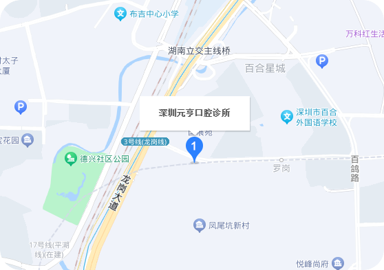 地图